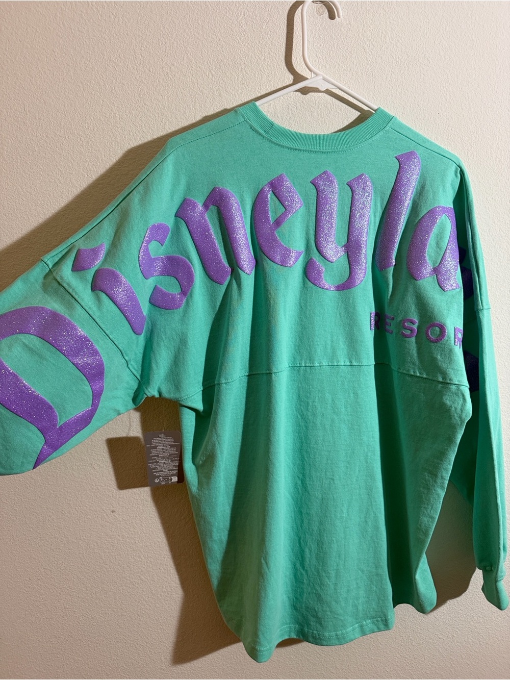 Disney Disneyland Blue and Purple Spirit Jersey for Adults size small - Picture 3 of 12